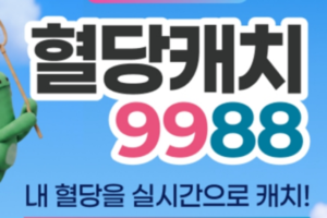혈당캐치9988 신청방법 총정리｜9월 9일 신청 대상·가격·보건소 검사 준비